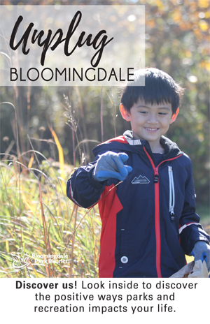 2017 Fall - Unplug Bloomingdale Guide